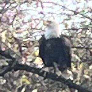 Meet your Posher, Linda